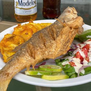 Corvina