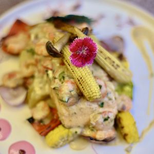 Salmon Hembra