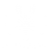 LogoB-Nuevo-Cevicheria